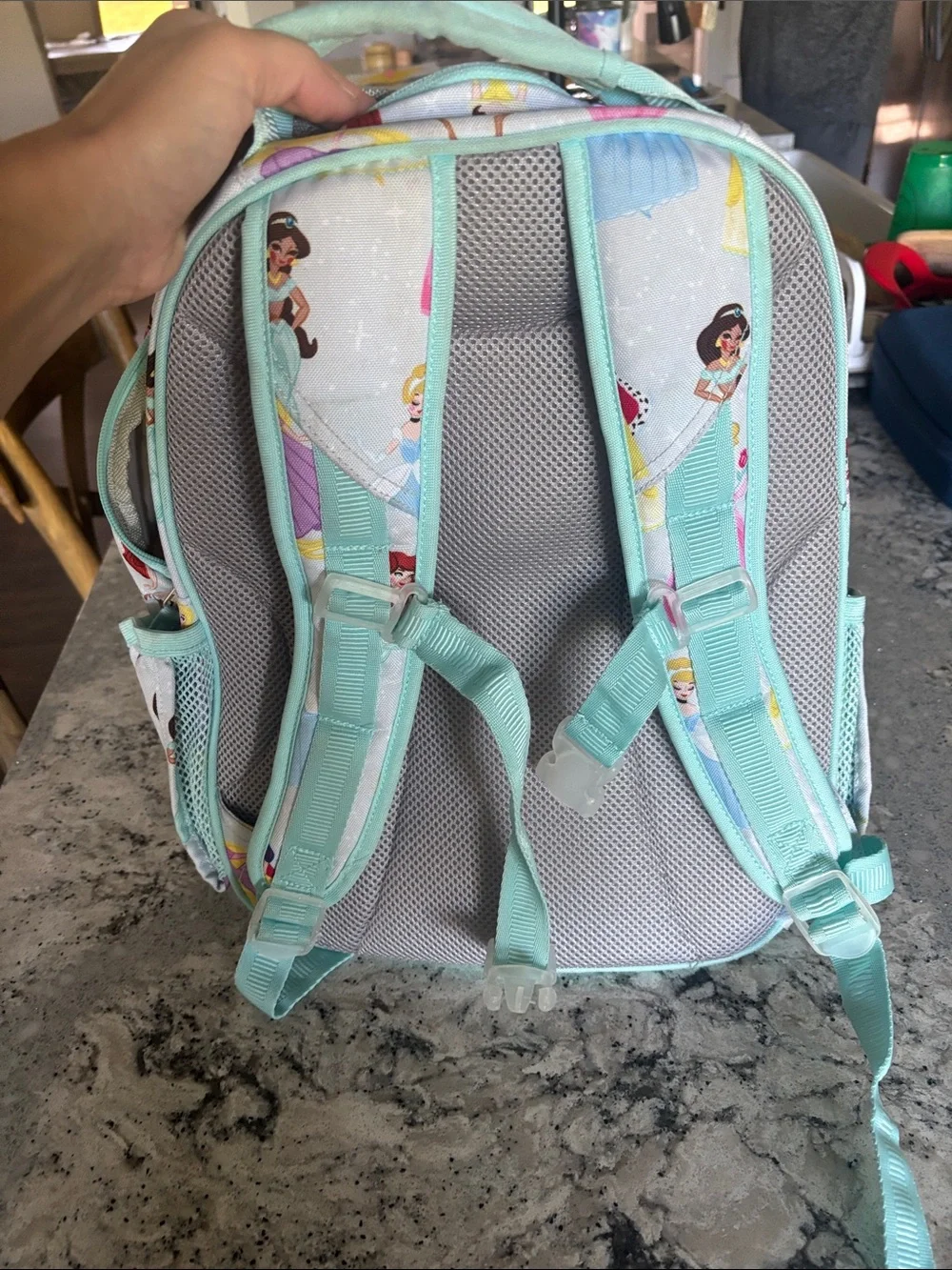 Pottery Barn Kids Mint Disney Princess Backpack- Sutton
